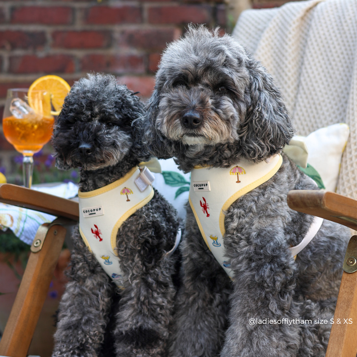 Picnic in Positano Adjustable Neck HARNESS