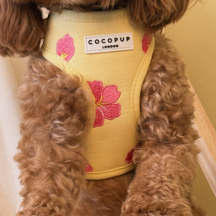 Pink Hibiscus Adjustable Neck Harness, Lead & Collar Bundle