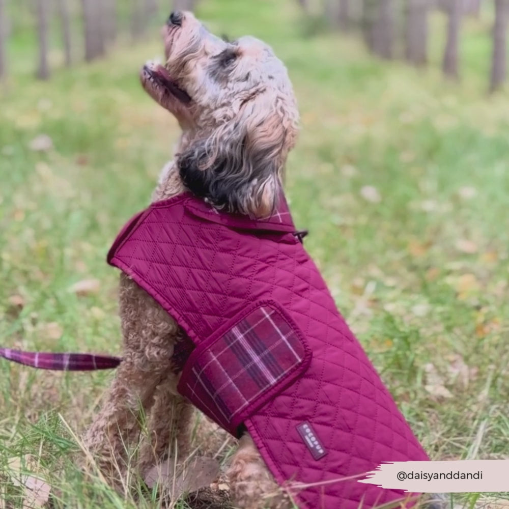 Quilted Dog Coat - Mulberry Plaid