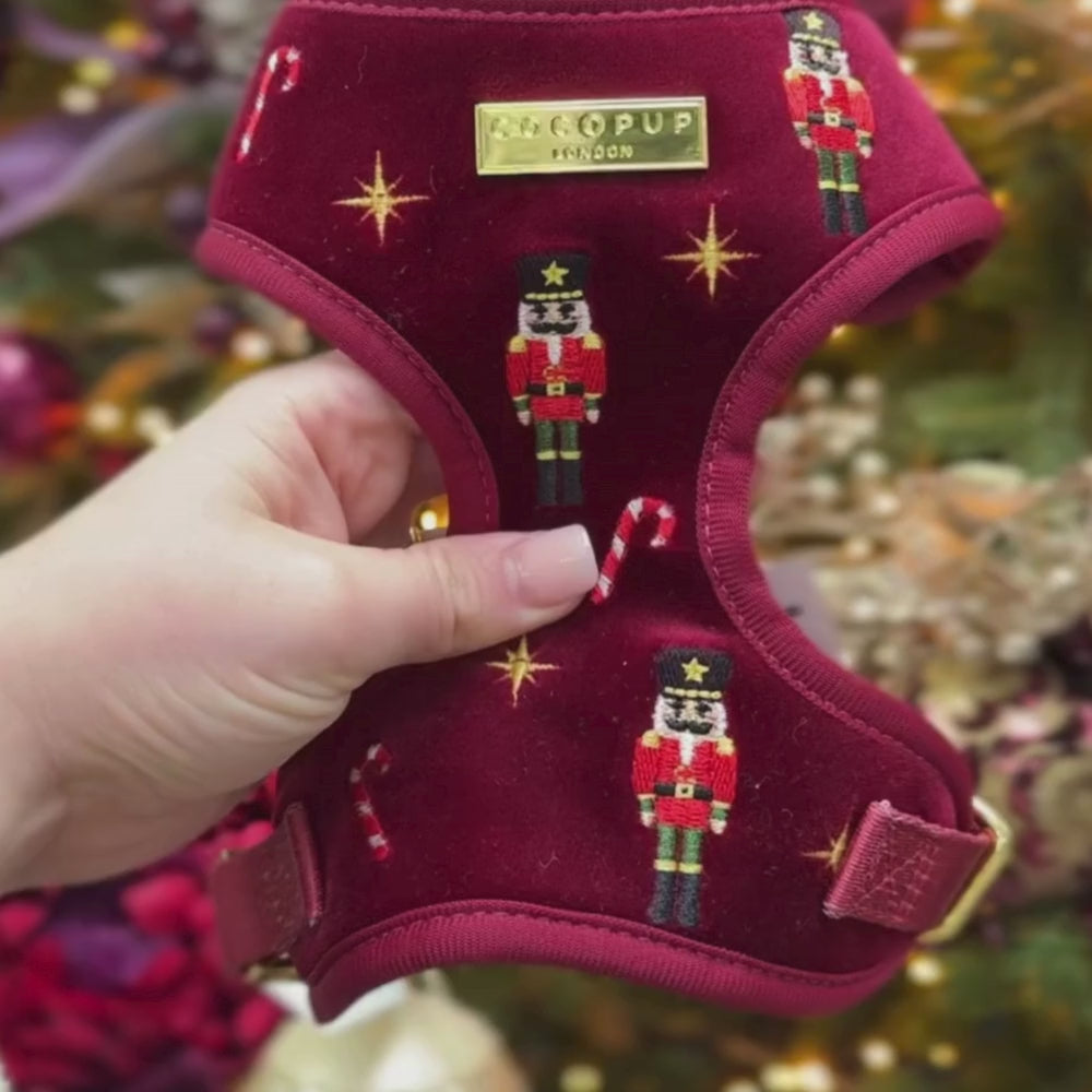 The Muttcracker Adjustable Neck Harness, Lead & Collar Bundle