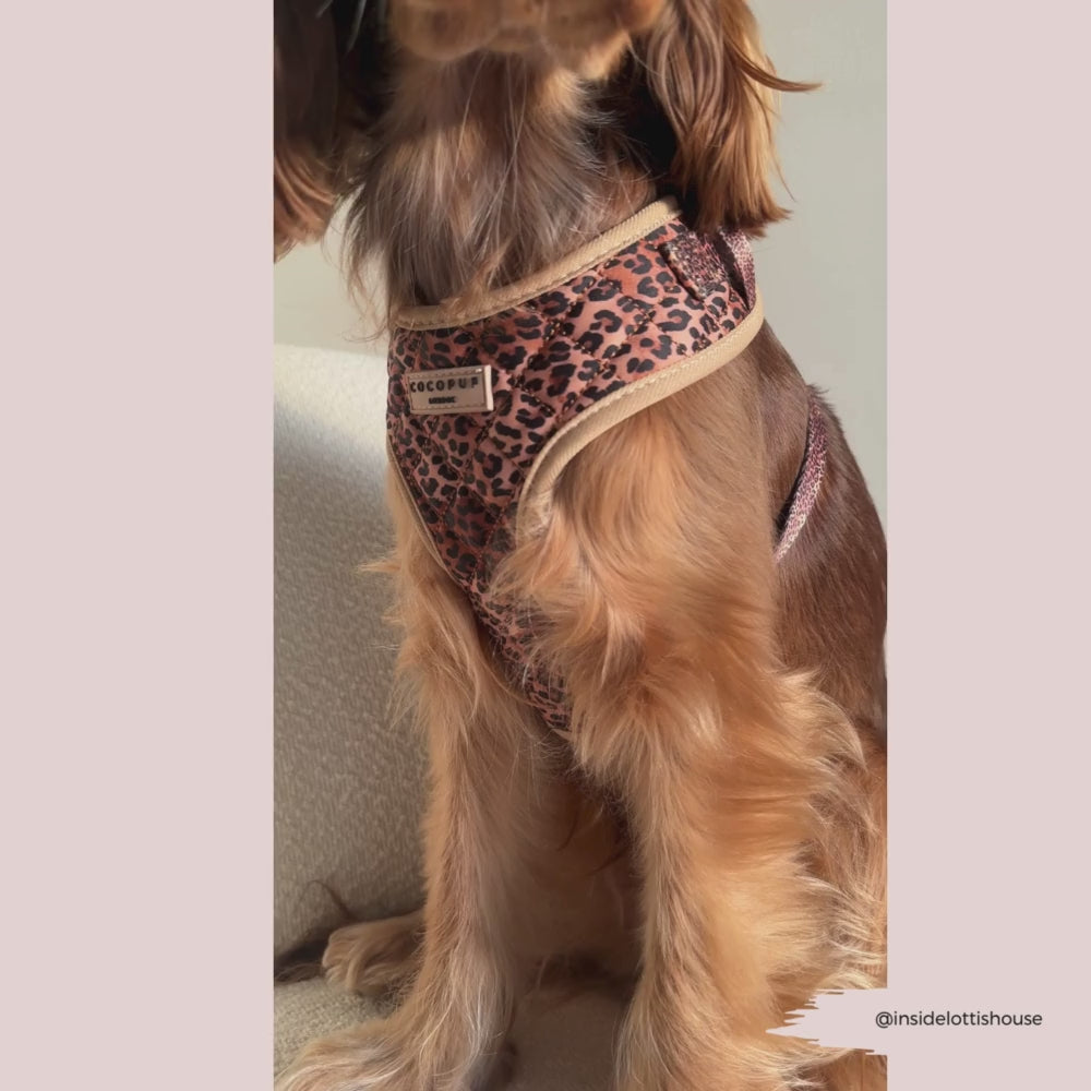 Quilted Leopard Pup Adjustable Neck Harness