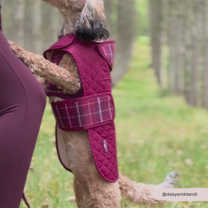 Quilted Dog Coat - Mulberry Plaid