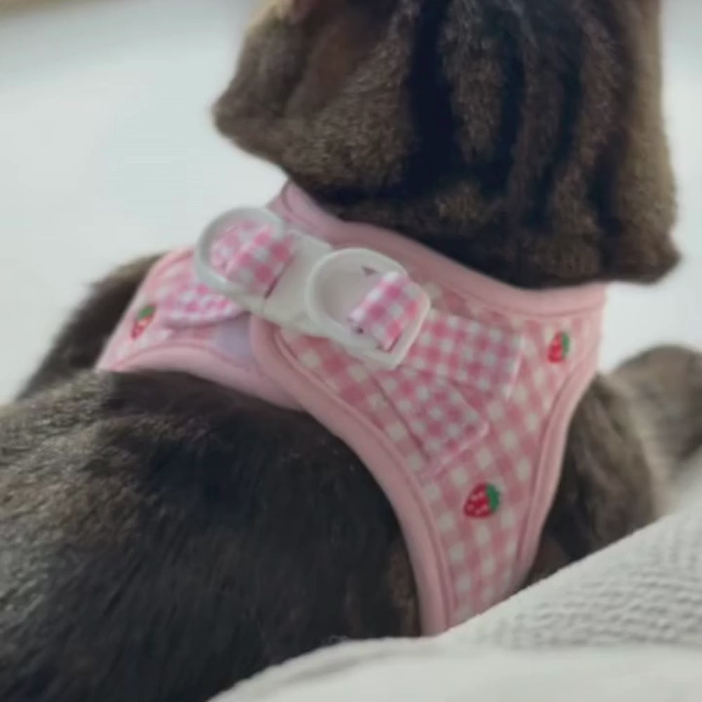 Cat Harness - Strawberry Picnic