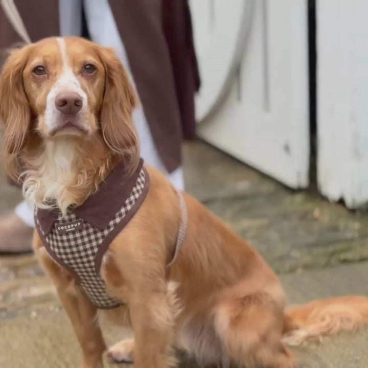 Cotswold Check Adjustable Neck HARNESS