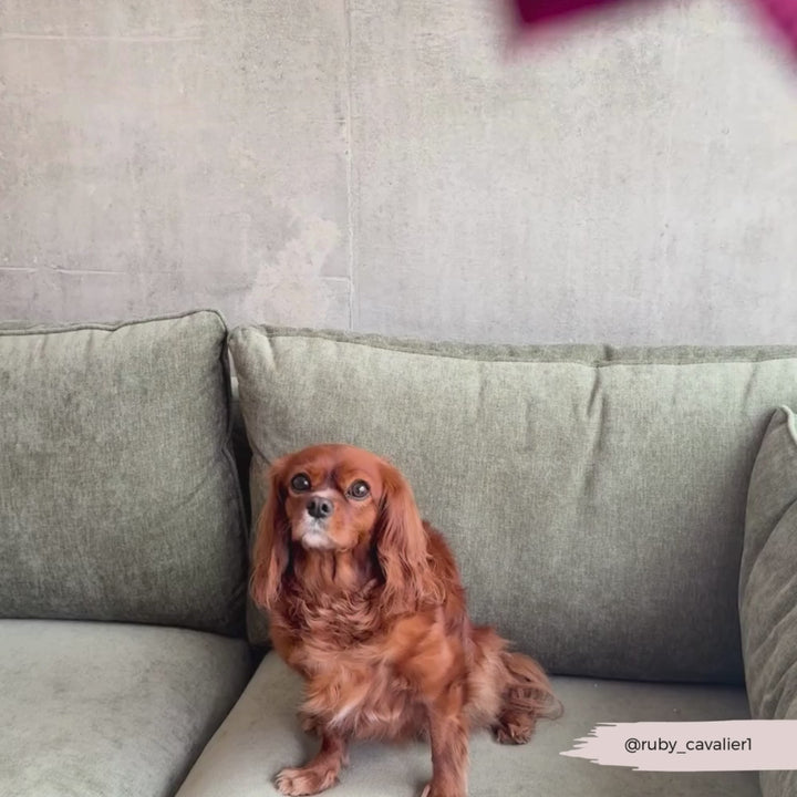 Quilted Dog Coat - Mulberry Plaid