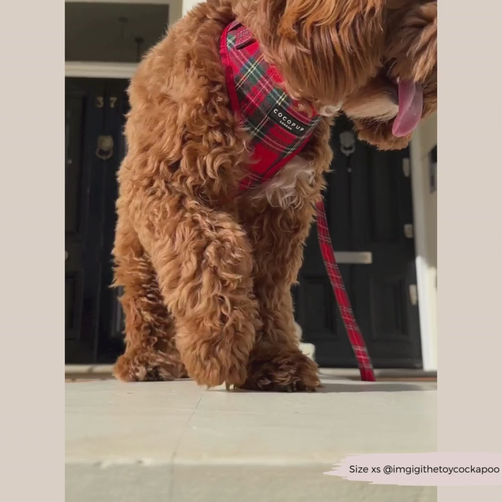 Tartan Adjustable Neck Harness