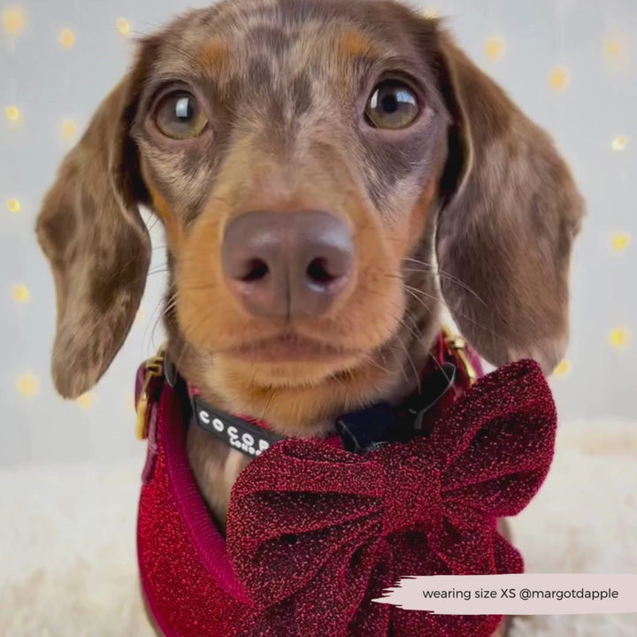 Limited Edition Burgundy Sparkle Pup Sailor Bow Tie