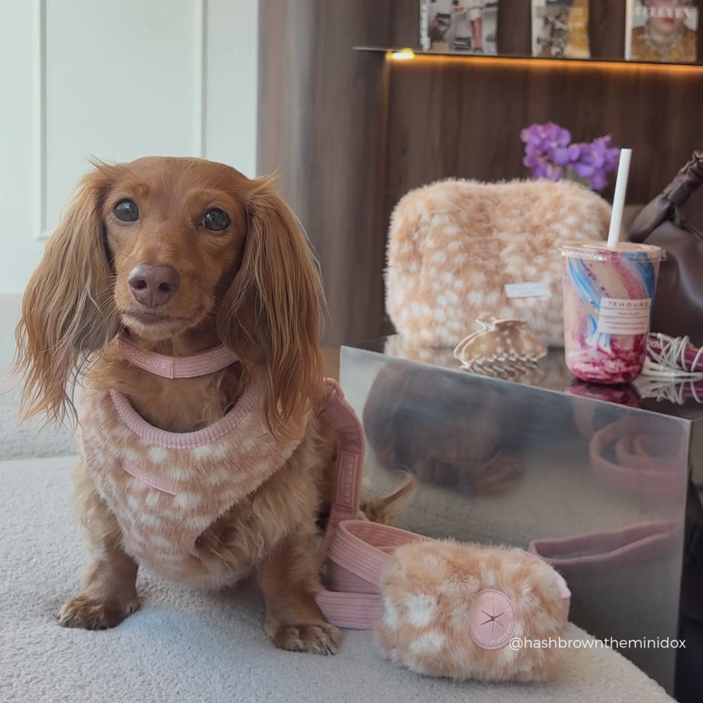 Fluffy Fawn Adjustable Neck HARNESS