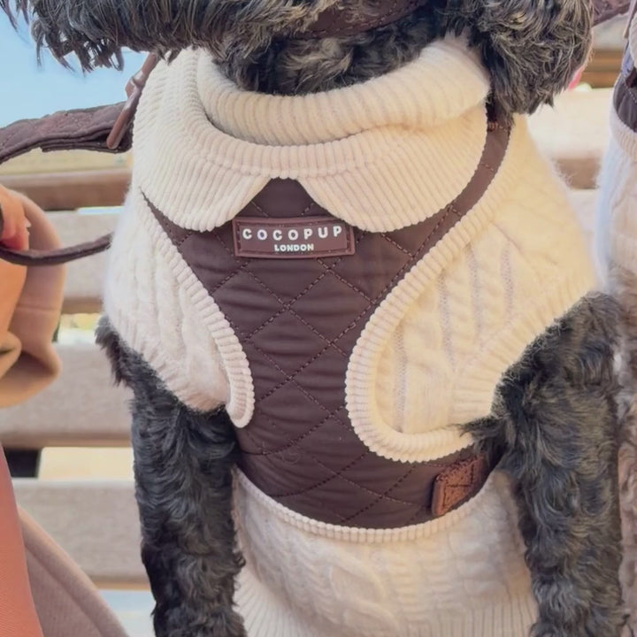 A close-up of a small dog wearing a Cocopup London quilted dog harness. The harness is dark brown with cream-colored knit collar, armholes, and leg cuffs, shown on a dog sitting on outdoor stone steps.