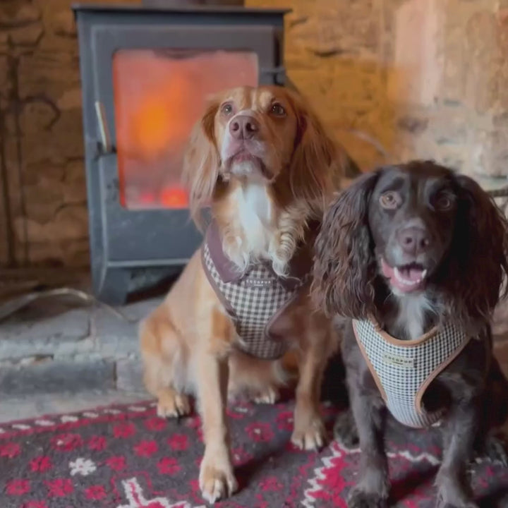 Cotswold Check Adjustable Neck HARNESS