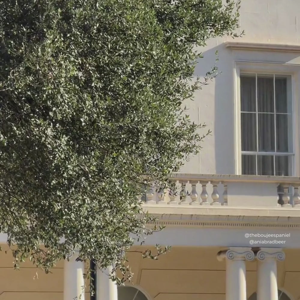 Crossbody Crescent Dog Walking Bag - London Linen Stripes