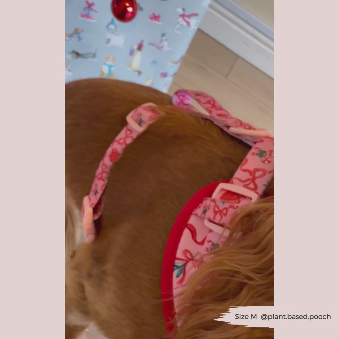 Pupmas Kisses Adjustable Neck Harness, Lead & Collar Bundle