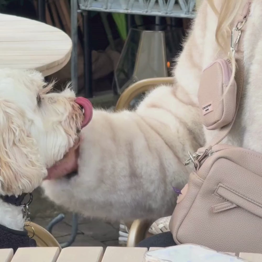 PU Leather Dog Walking Bag Bundle - Caramel