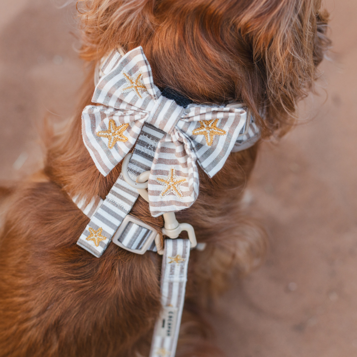 Sandy Starpaws Sailor Bow Tie