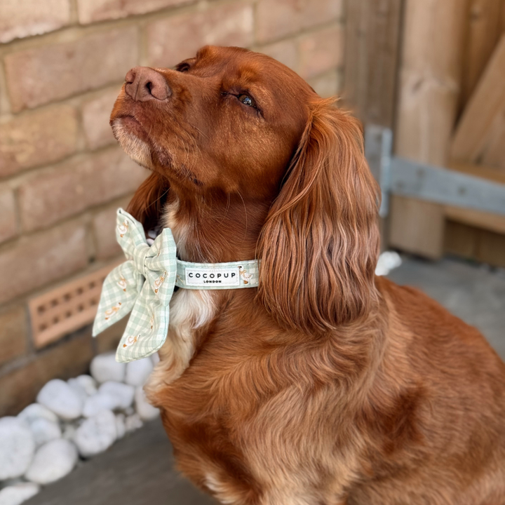 Silly Goose Sailor Bow Tie