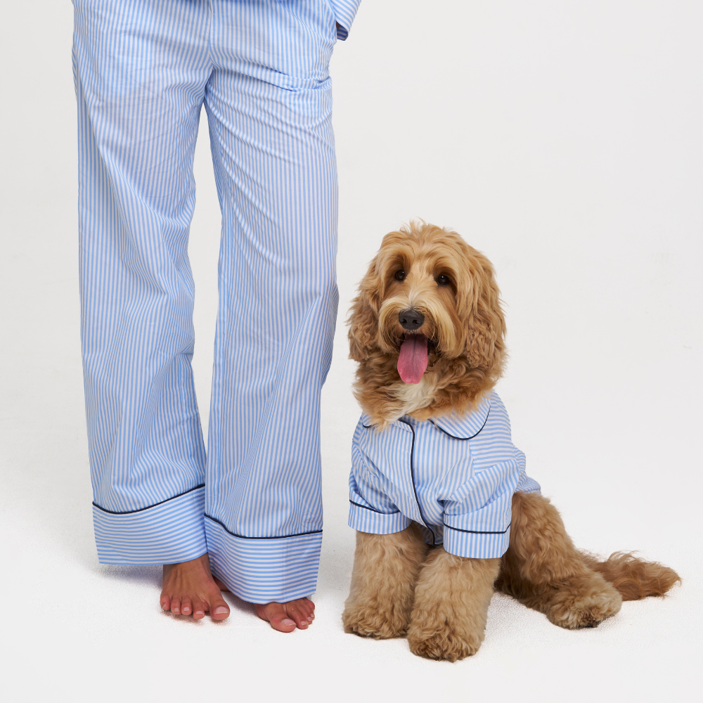 A person wearing light blue and white striped pajama pants stands barefoot next to a small tan dog wearing a matching dog pajama shirt, on a clean white studio background.