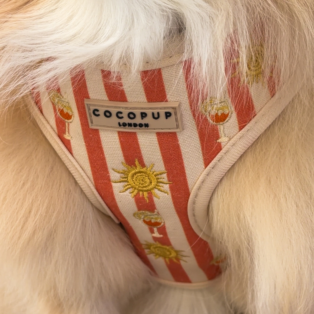 Sunshine & Spritz Adjustable Neck HARNESS