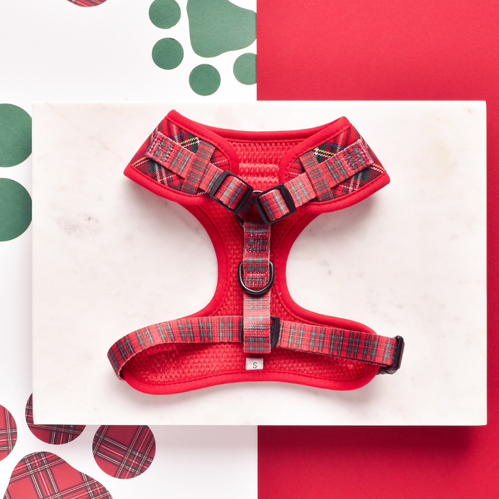 Tartan Adjustable Neck Harness