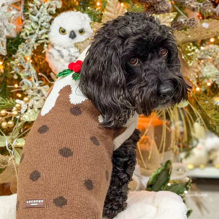 A black curly-haired dog wearing a brown knit Christmas sweater with dark spots, white trim, and a small red holly accent, posed in front of a decorated Christmas tree.