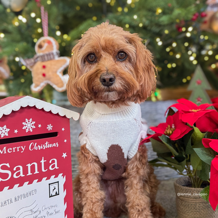 A small brown dog wearing a white knit sweater with a brown dots sits in front of a Christmas tree with lights. A red Christmas mailbox labeled Santa is on the left, and red poinsettias are on the right.