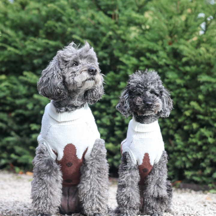 Two gray dogs wearing matching white knit dog sweaters with a brown graphic design, sitting outdoors in front of a green hedge.