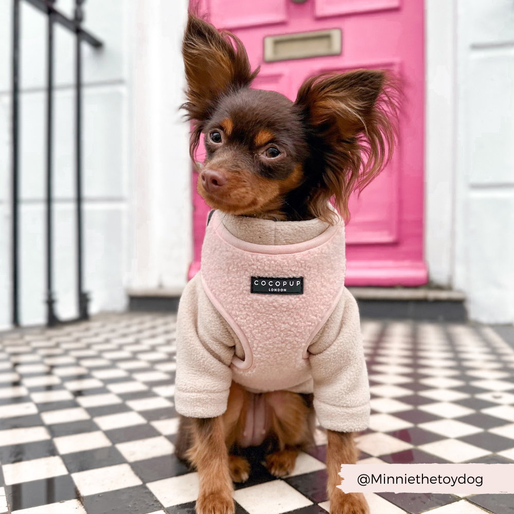 Teddy Adjustable Neck Dog Harness Love a Lot Cocopup London