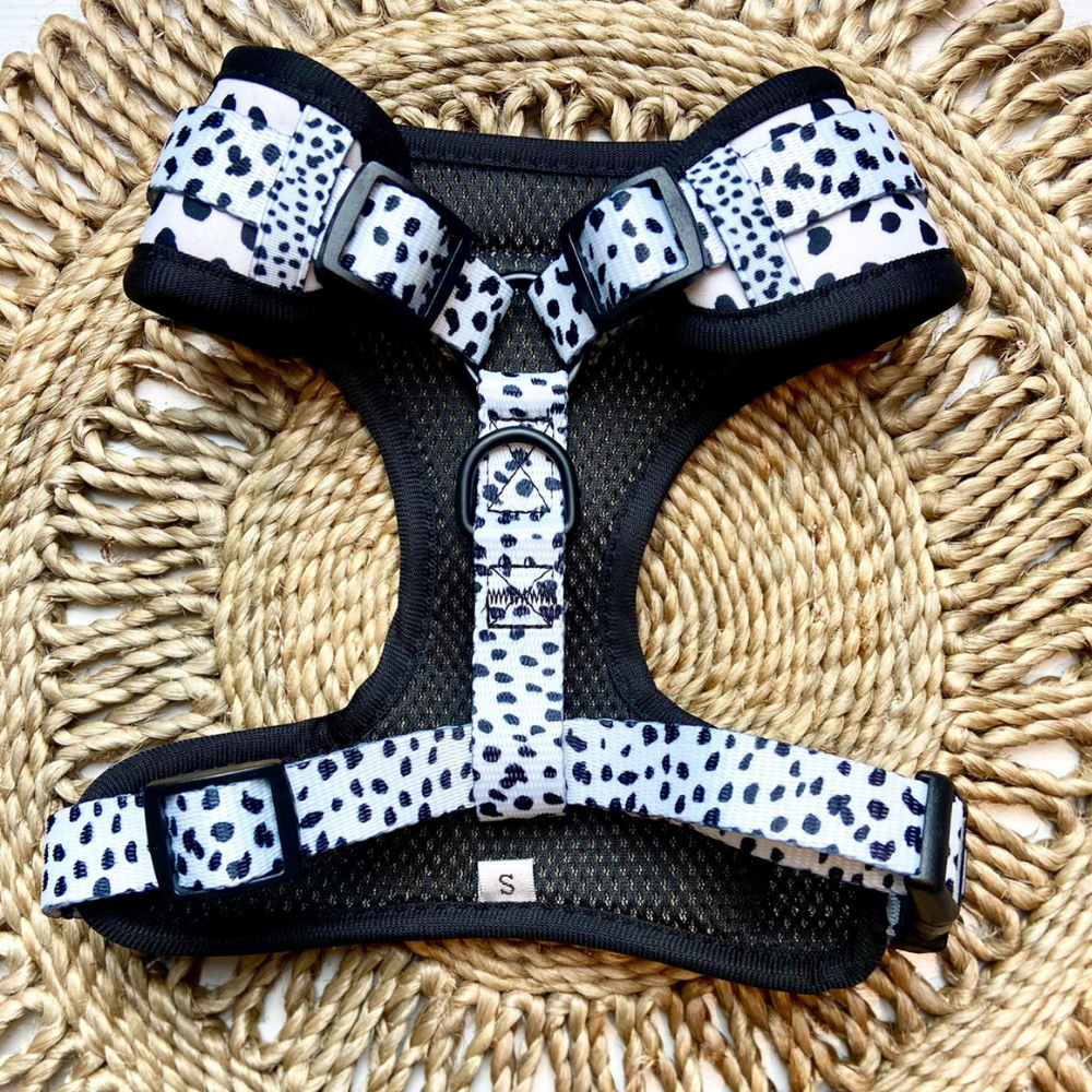 back of black and white spotted dog harness
