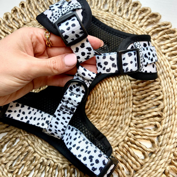 straps of black and white spotted dog harness