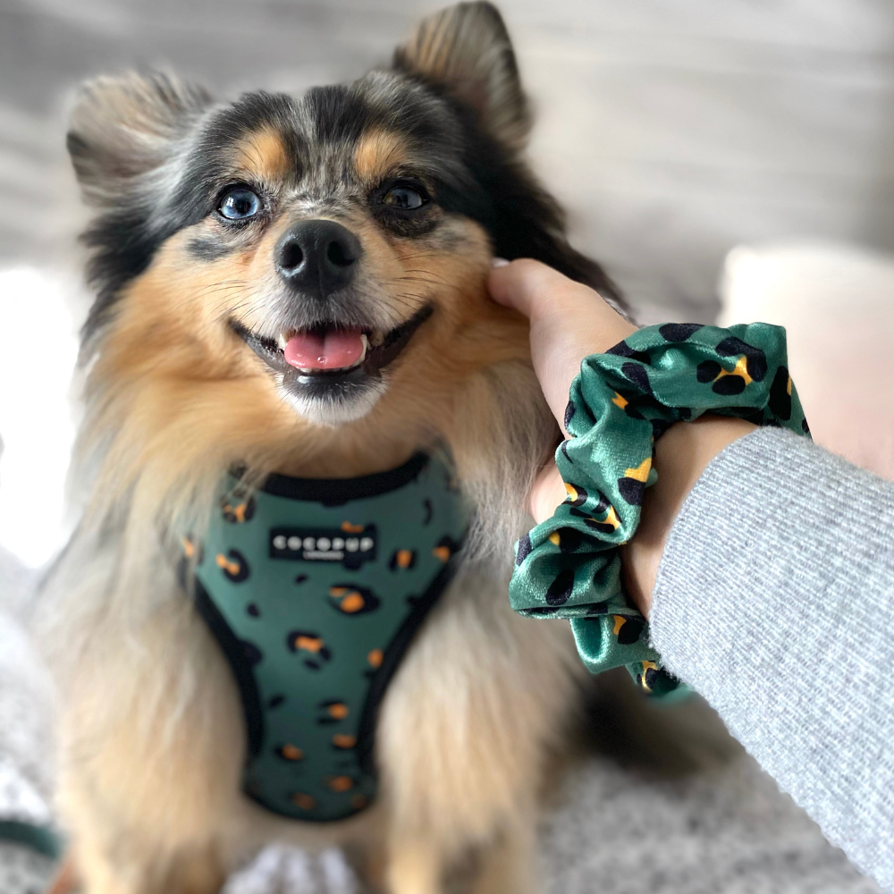 Khaki Leopard Adjustable Neck Harness